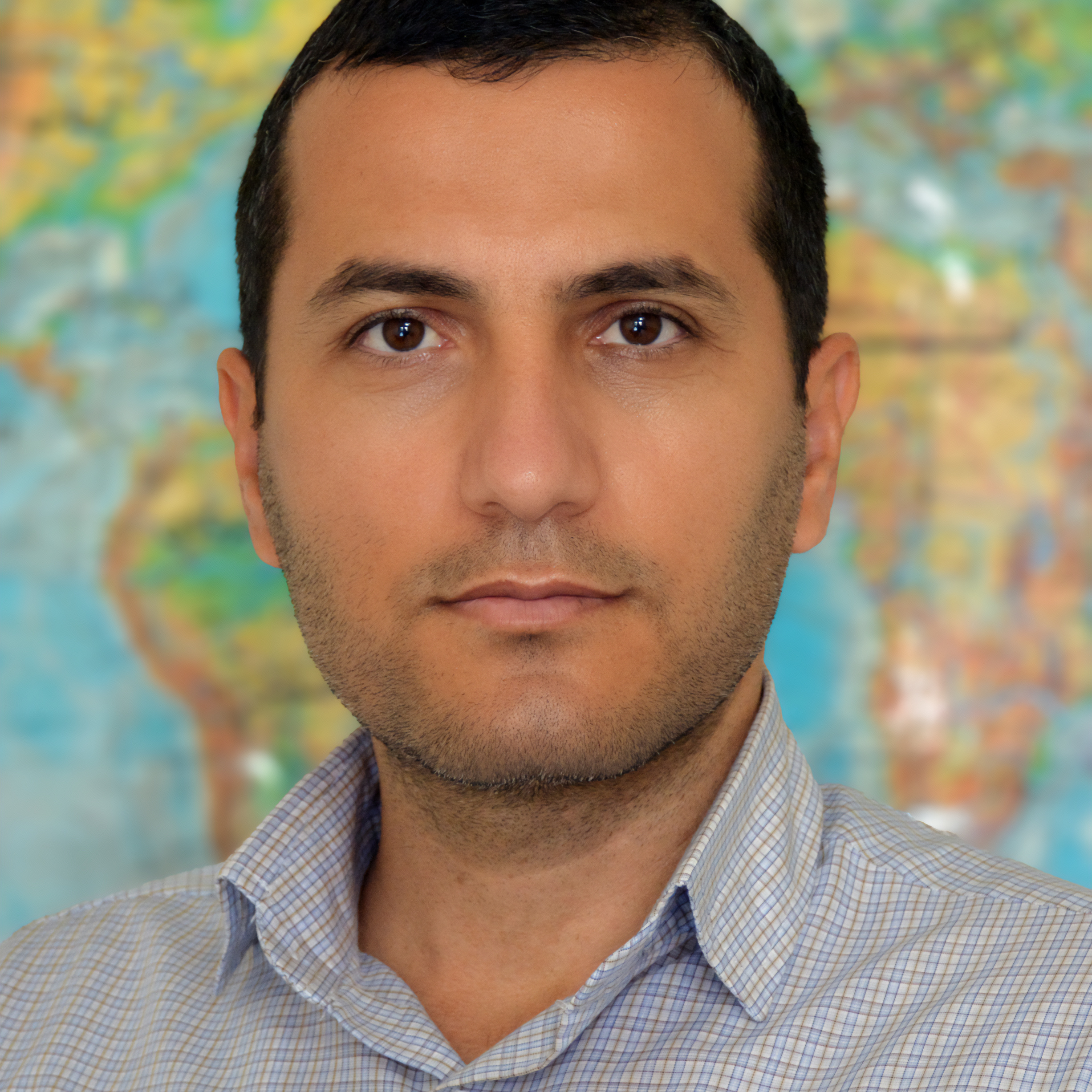 Vahid Mohammadnejad