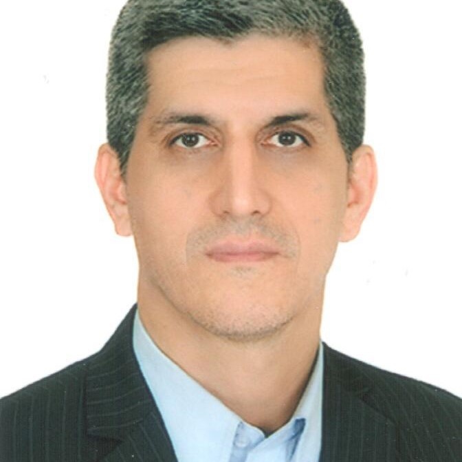 MohammadReza Sheidaii