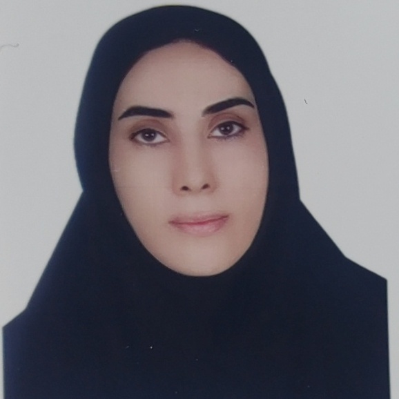 Parisa SadeghpourDilmaghani
