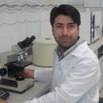 Vahid Mohammadi