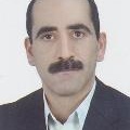 Saeed Shams