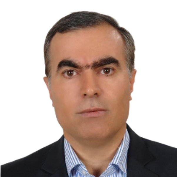 Javad Gholami
