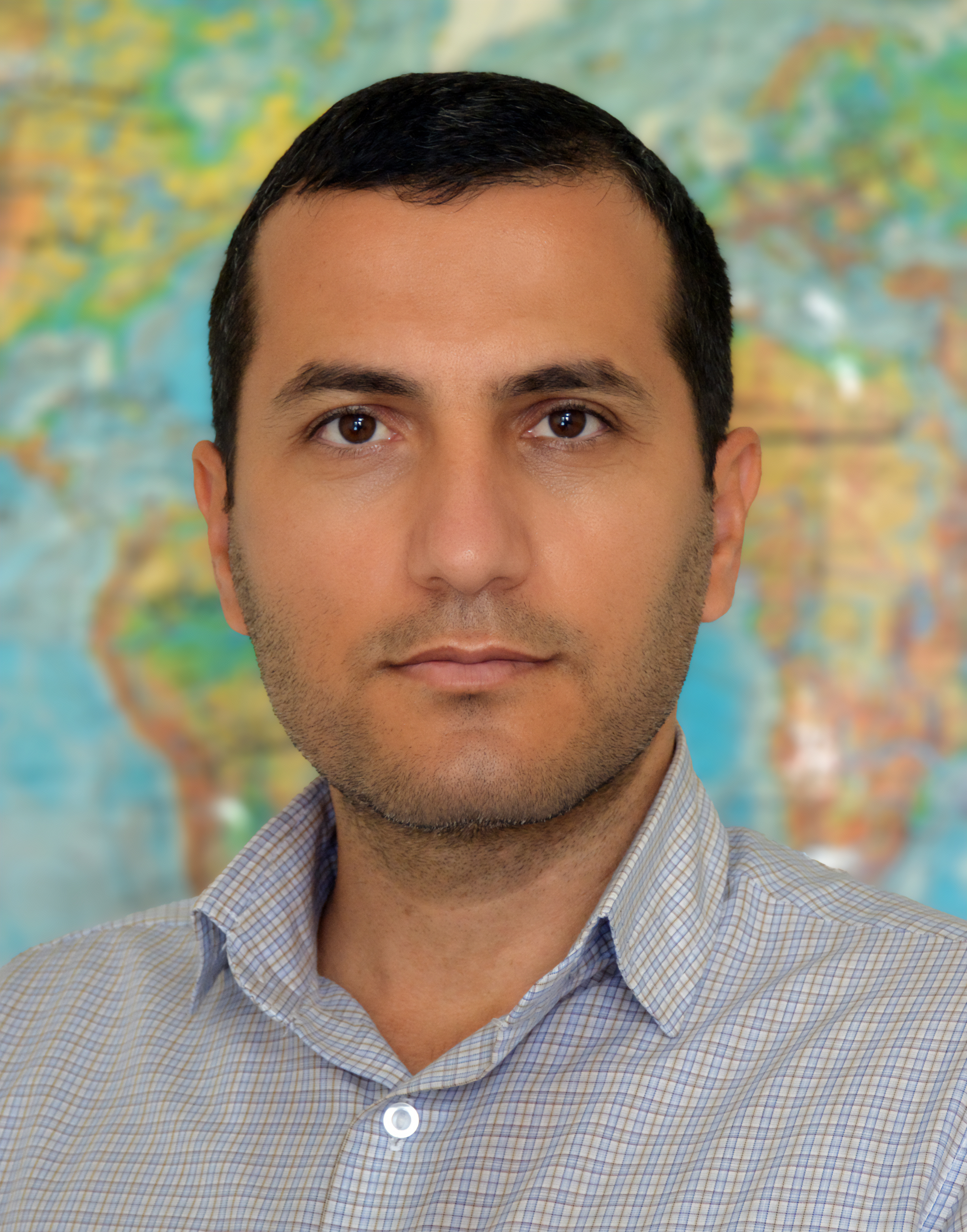 Vahid Mohammadnejad