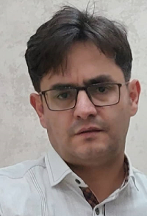 SeyedAli Mirghelenj