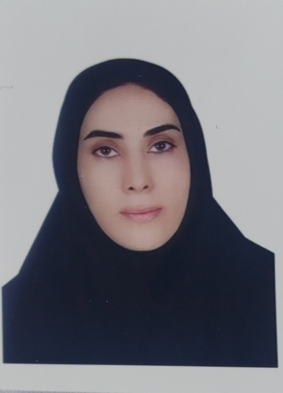 Parisa SadeghpourDilmaghani