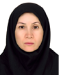 Mehri Mohammadi