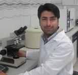 Vahid Mohammadi