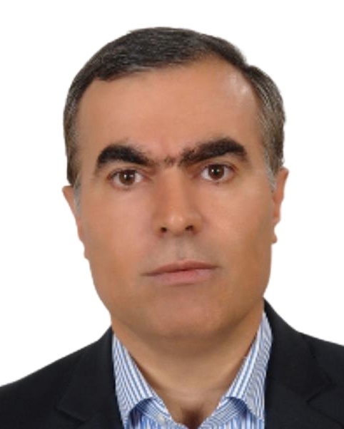 Javad Gholami