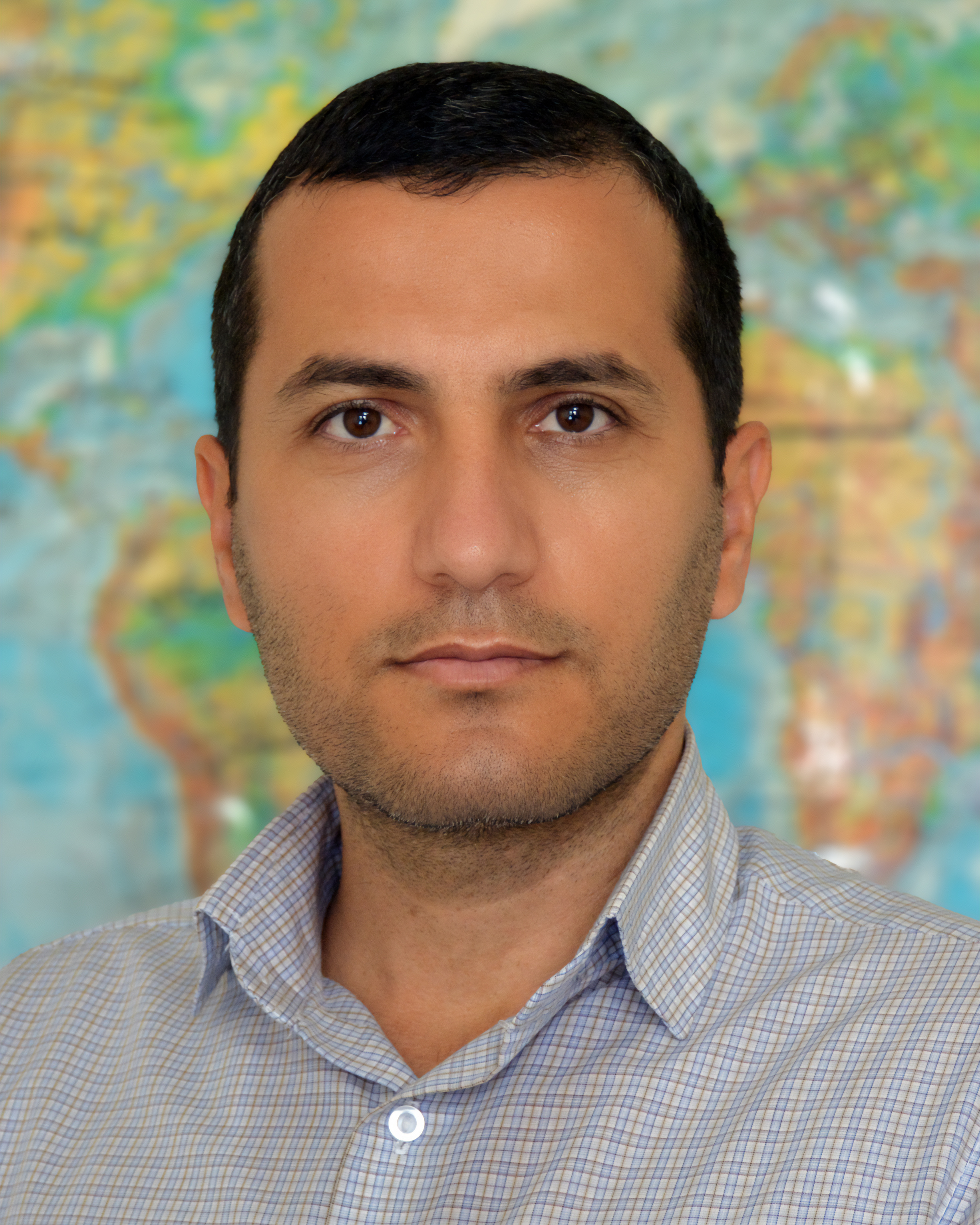 Vahid Mohammadnejad