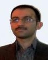 Mehdi Mahmoudian