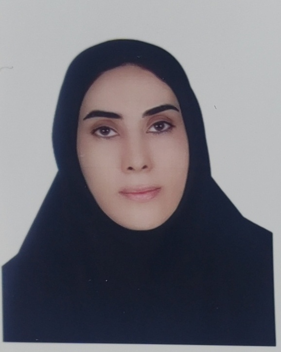 Parisa SadeghpourDilmaghani