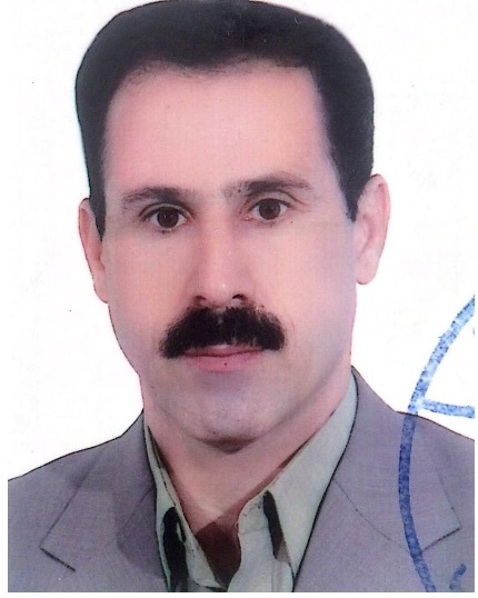 Mohamadreza ZolfagharDidani