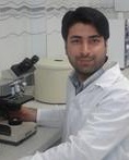 Vahid Mohammadi