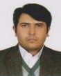 hassan Mahdavikia