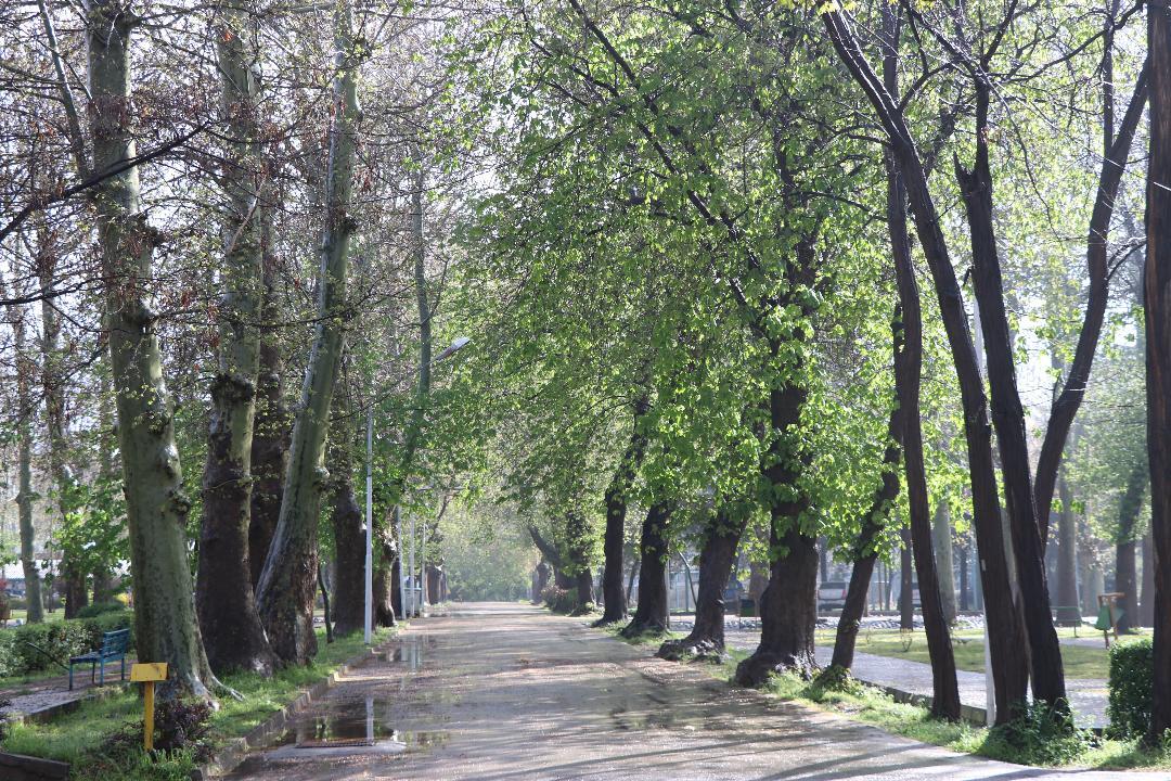 Biotechnology Research Center