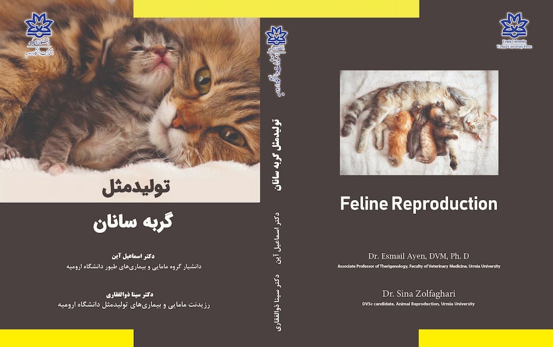 تولید مثل گربه‌سانان