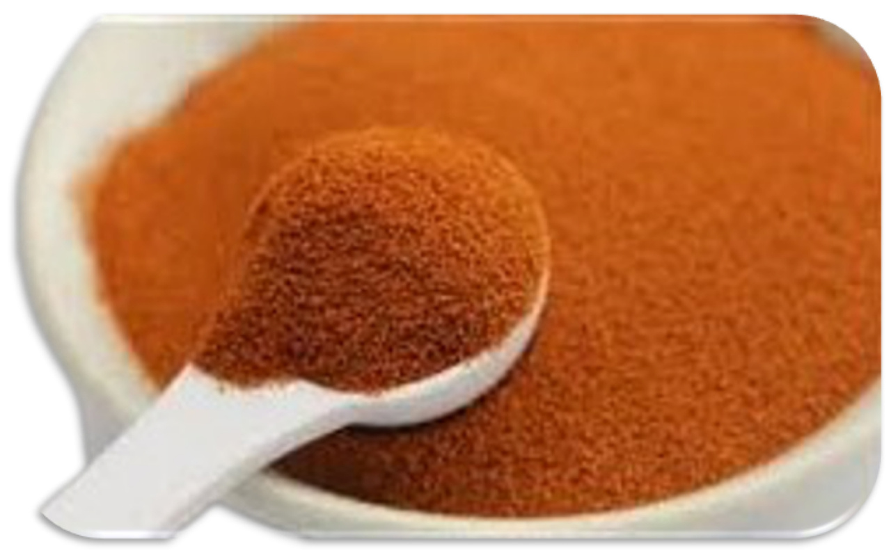 سیست دکپسوله آرتمیا