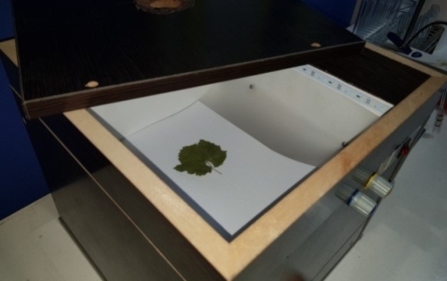 دستگاه اندازه‌گیری آهن فعال گیاه